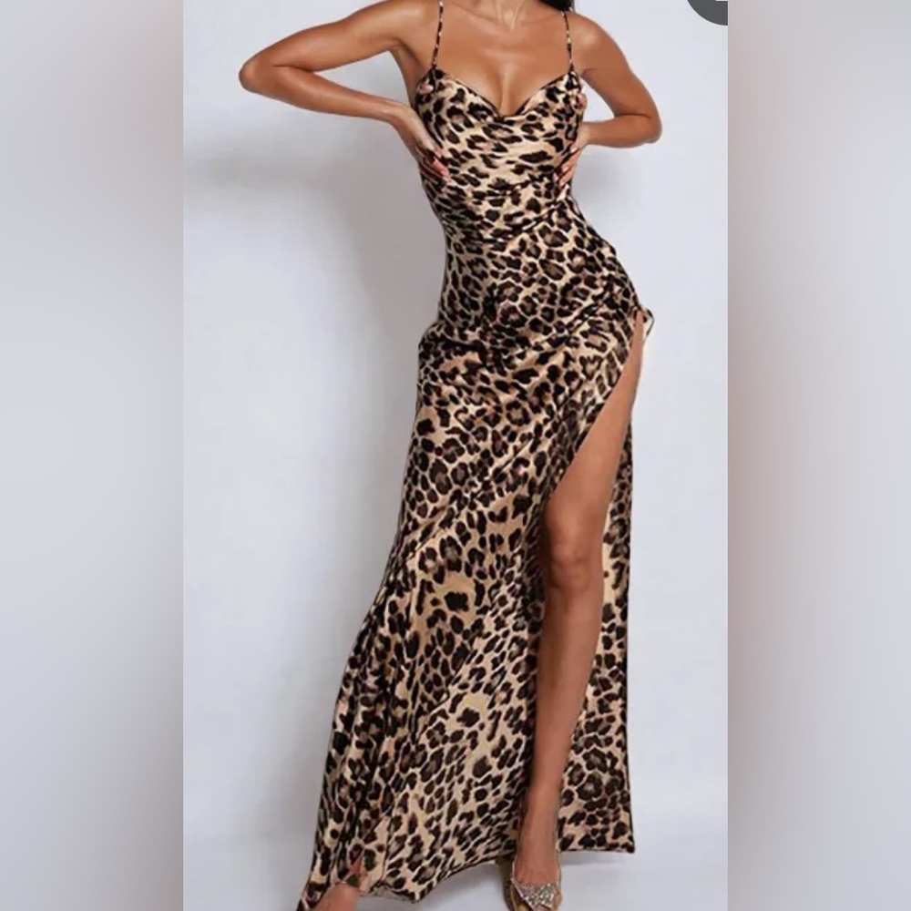 Leopard Print Maxi Dress